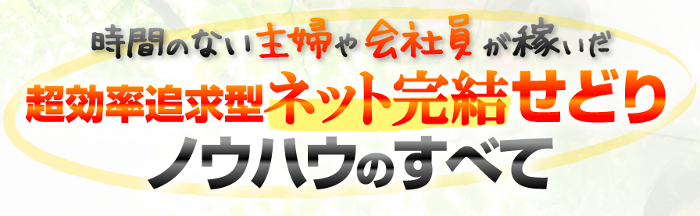 超効率型せどりの全て｜おこづかいWAKU湧くアカデミー